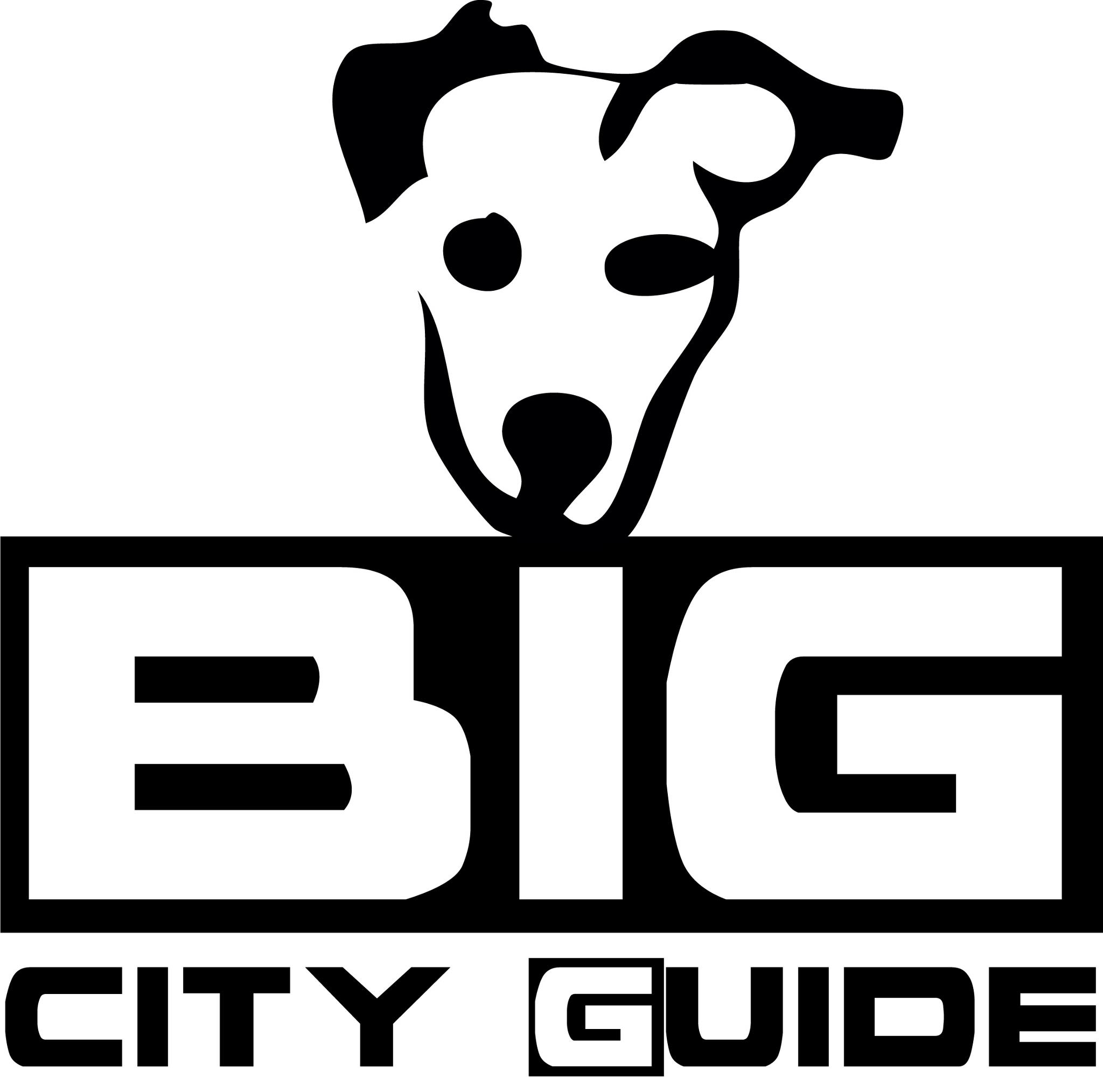 Dove posso entrare col cane?.. te lo dice Big city guide