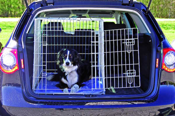 cane auto kennel